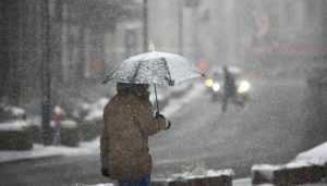 В Брянскую область вернутся дождь со снегом и 7-градусное тепло