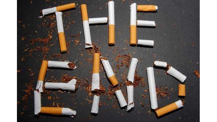 В Севске будут судить табачного контрабандиста с Украины