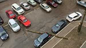 В Брянске на автомобили рухнуло поваленное ветром дерево