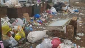 В Дубровке прокуратура наказала коммунальщиков за стихийную свалку