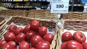 Брянский магазин предложил помидоры по цене 590 рублей за килограмм
