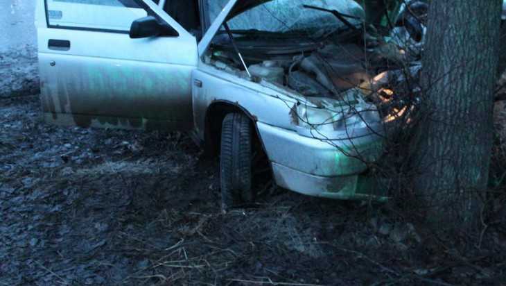 Возле Климова водитель ВАЗа врезался в дерево и сломал себе ребра и пятку