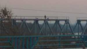 В Брянске малолетние экстремалы забрались на вершину моста