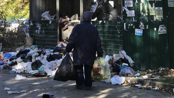 Власти Брянска предложили снизить тариф на вывоз отходов