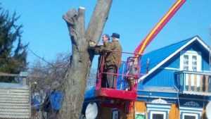 В Климовском районе по просьбе жителей спилили опасные деревья
