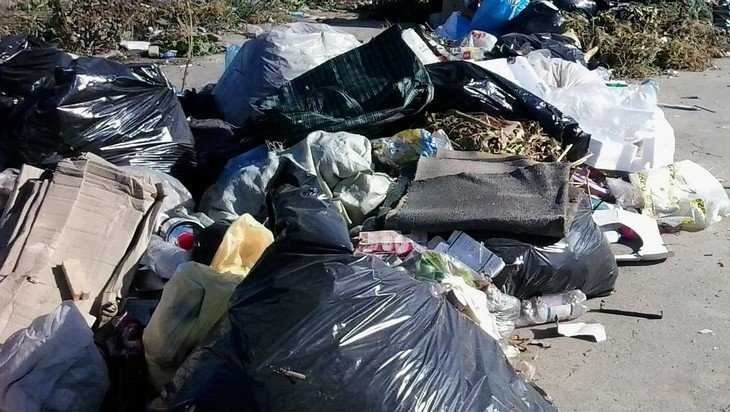 Жители Брянска вместо раздельного сбора мусора устроили свалки