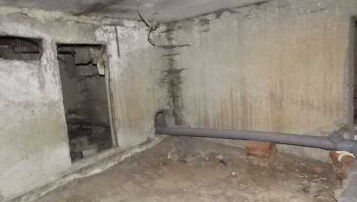 В Новозыбкове в подвале общежития обнаружили труп бродяги