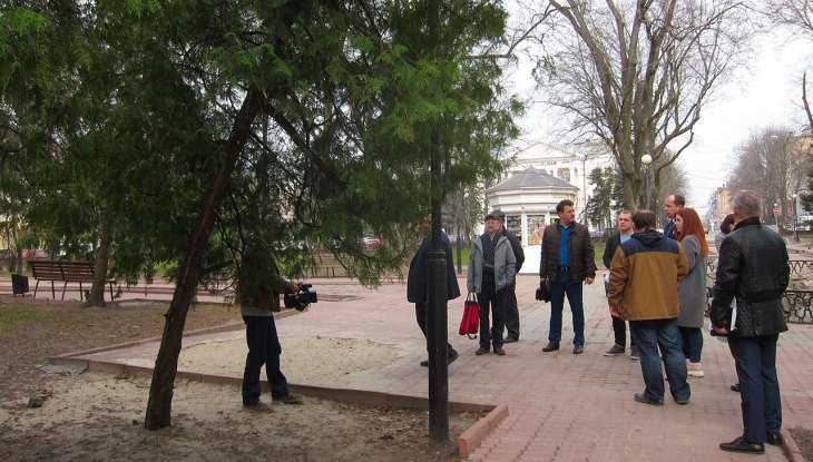 В Брянске в Круглом сквере срубят 9 аварийных деревьев