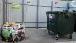 Жителей Брянска попросили указать места для мусорных контейнеров