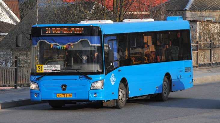 В Брянске предложили укоротить маршрут автобуса № 31