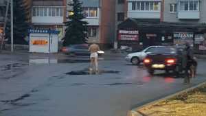 В Брянске возле больницы №1 утром прогулялся голый мужчина