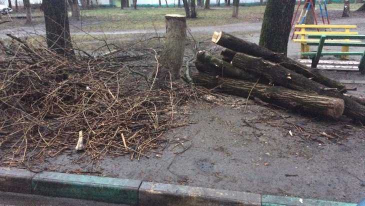 Улицу Крахмалева в Брянске завалили мусором и спиленными деревьями
