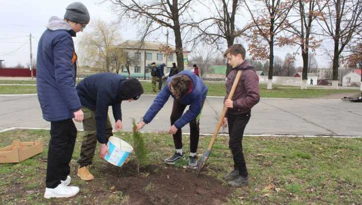 В Комаричах школьники посадили деревья в рамках экологической акции