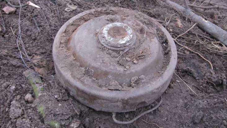 Под Навлей в лесу обнаружили противотанковые мины