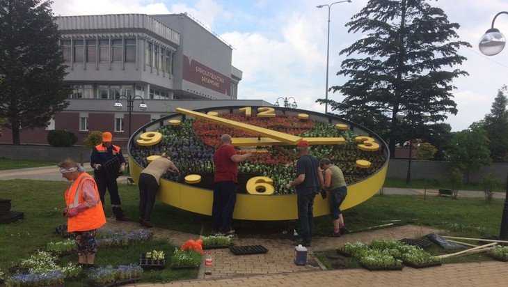В Брянске на Славянской площади в циферблат часов высадили новые цветы