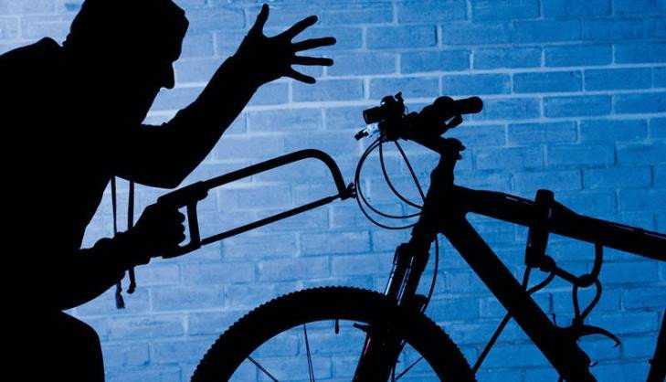 В Клинцовском районе уставший уголовник украл велосипед у женщины