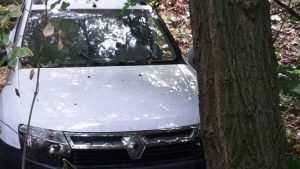 В Брянском районе автомобиль «Рено» врезался в дерево