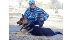 Собака полицейских помогла раскрыть в Новозыбкове жестокое убийство
