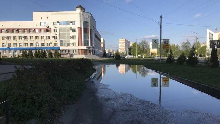 Жители Брянска попросили осушить легендарный пруд на пути к налоговой