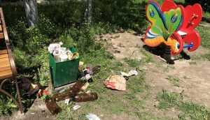 Брянцы пожаловались на мусор после концерта на Кургане Бессмертия