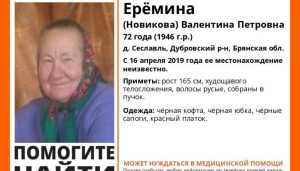 В Брянской области продолжаются поиски 72-летней Валентины Ерёминой