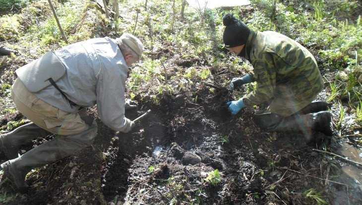 Под Новгородом обнаружили останки погибшего в 1942 году брянского бойца