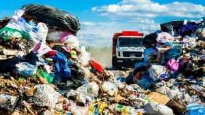 В Новозыбкове за бардак на мусорной свалке оштрафовали управляющего