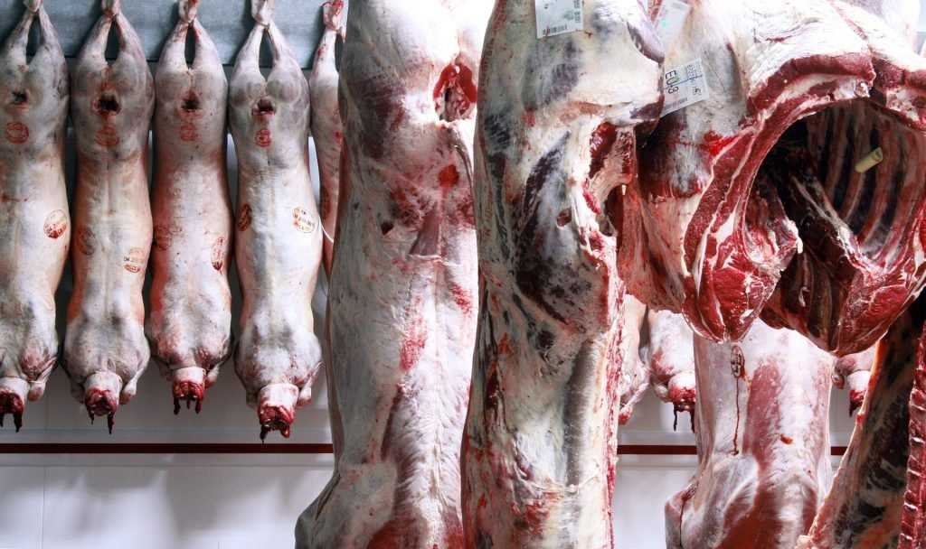 Брянское предприятие будет поставлять мясо в Венесуэлу
