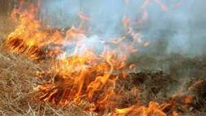 В Фокинском районе Брянска спасатели более часа тушили горевшую траву