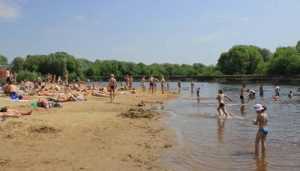 Брянцам запретили купаться в Десне, Орлике и Мутном озере