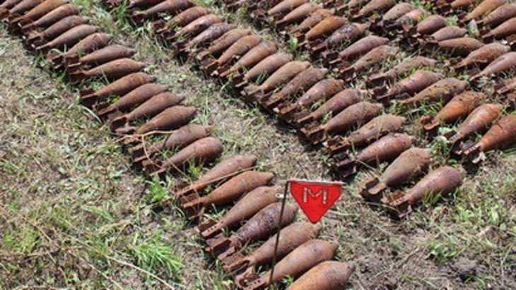 В Бытоши нашли 48 старых мин от советского миномета