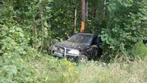 Под Мглином Honda врезалась в дерево – погиб 20-летний водитель