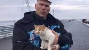 Брянский депутат Валуев отказался принять еще четырех котят