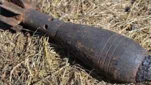 Под Брасовом в роще обнаружили три снаряда и пять мин