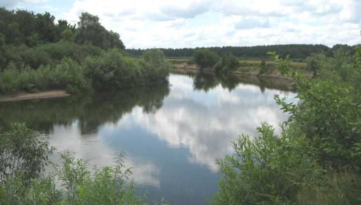 Жителям Брянской области запретили купаться в реке Десне