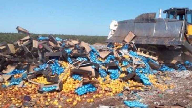 В Брянской области раздавили 30 тонн яблок из Молдавии