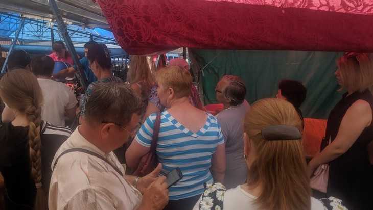 В Брянске выстроилась огромная очередь за дешевой клубникой на рынке
