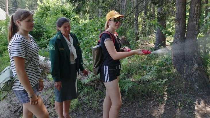 Брянские школьники научились измерять деревья и подписывать столбы