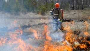 В Брянском районе девять спасателей сразились с лесным пожаром