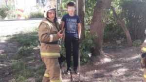 В Мичуринском сотрудники МЧС сняли с дерева 11-летнего школьника