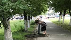 Уличные колонки стали спасением жителей Брянска в жару