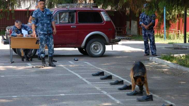 В Брянском УФСИН прошли соревнования со служебными собаками