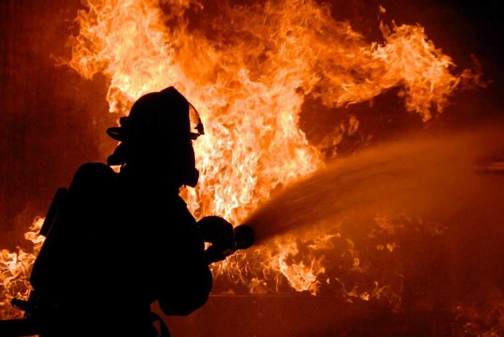 Под Жуковкой 16 спасателей сразились с торфяным пожаром