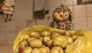 В Брянске ростовская молодая картошка оказалась вдвое дешевле местной