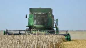 Брянская область стала лидером России по росту урожайности зерновых