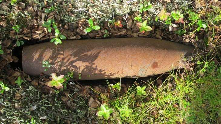 Под Жуковкой в лесу обнаружили две мины времён войны
