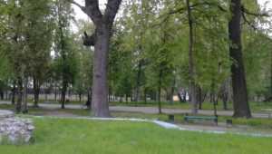 В двух парках Брянска появились зоны бесплатного Wi-Fi