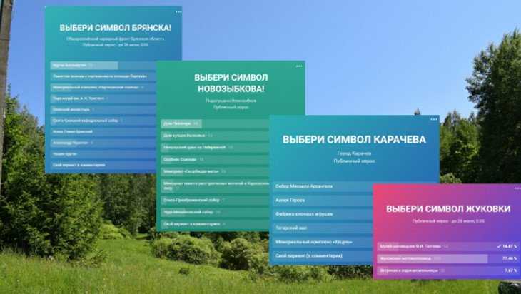 В Брянской области запустили голосование за символы городов