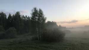 В Брянской области ночью 14 июля похолодает до 6 градусов