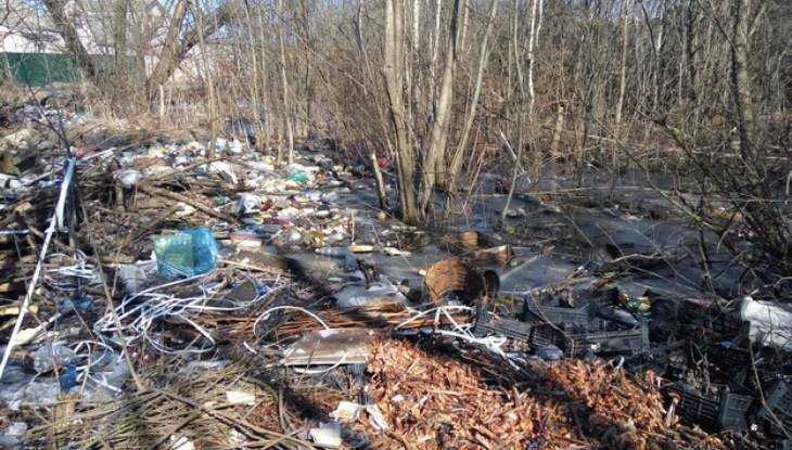 Брянскую область за пять лет очистят от 17 свалок